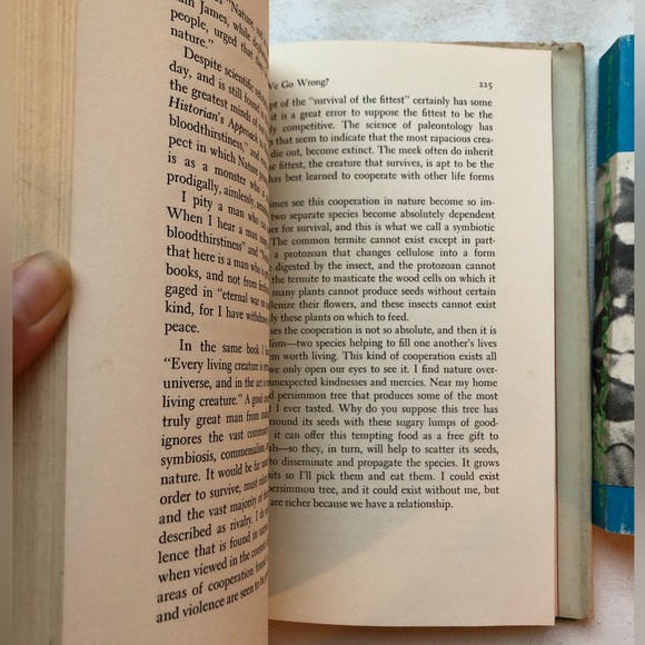 2 Euell Gibbons vintage field guides: Stalking the Good Life & Blue-Eyed Scallop - Picture 10 of 17